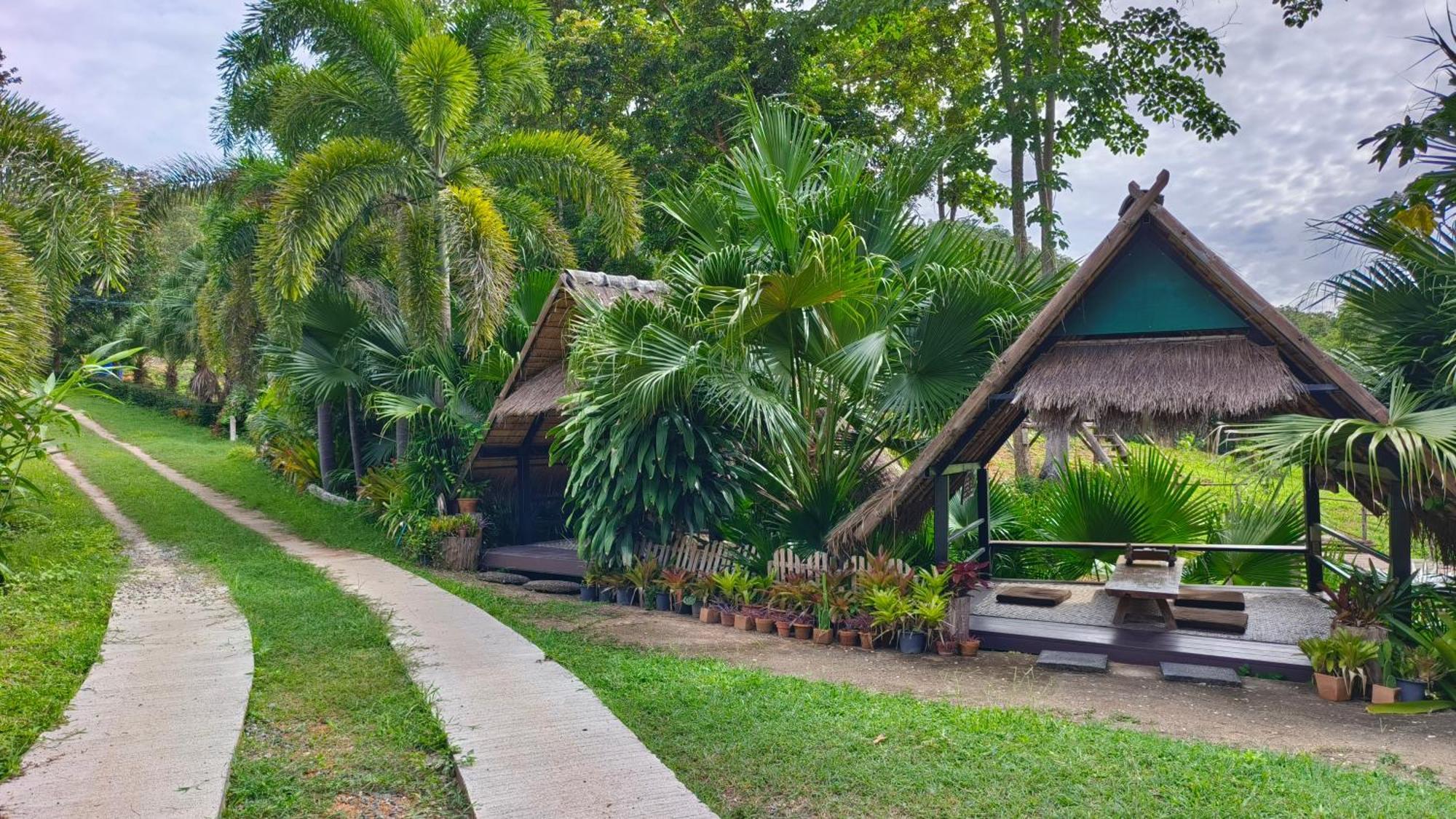 Farm stay บ้านพอเพียงเชียงดาว Banporpiangchiangdao Ban Mae Khon